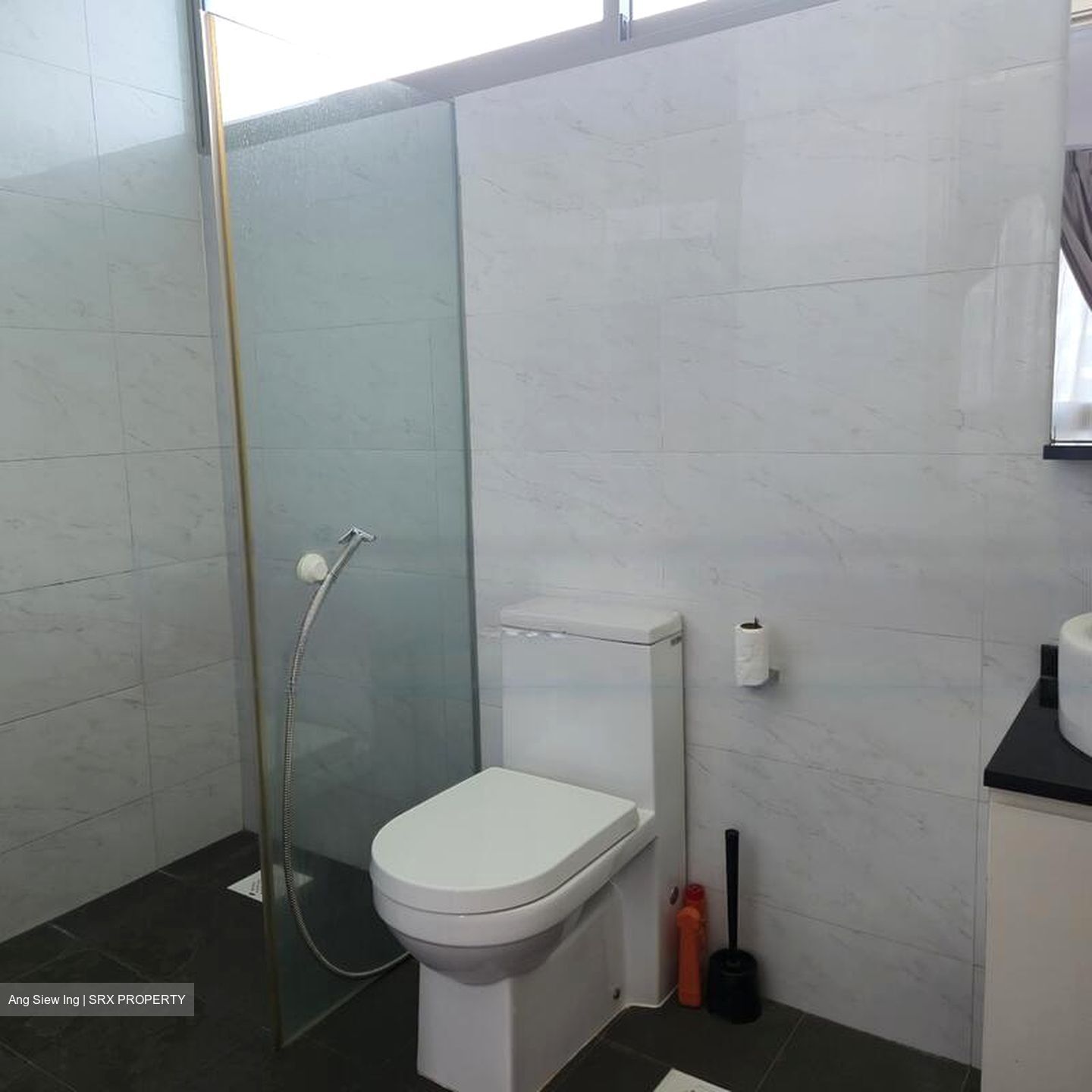 Loft @ Holland (D10), Apartment #468922371